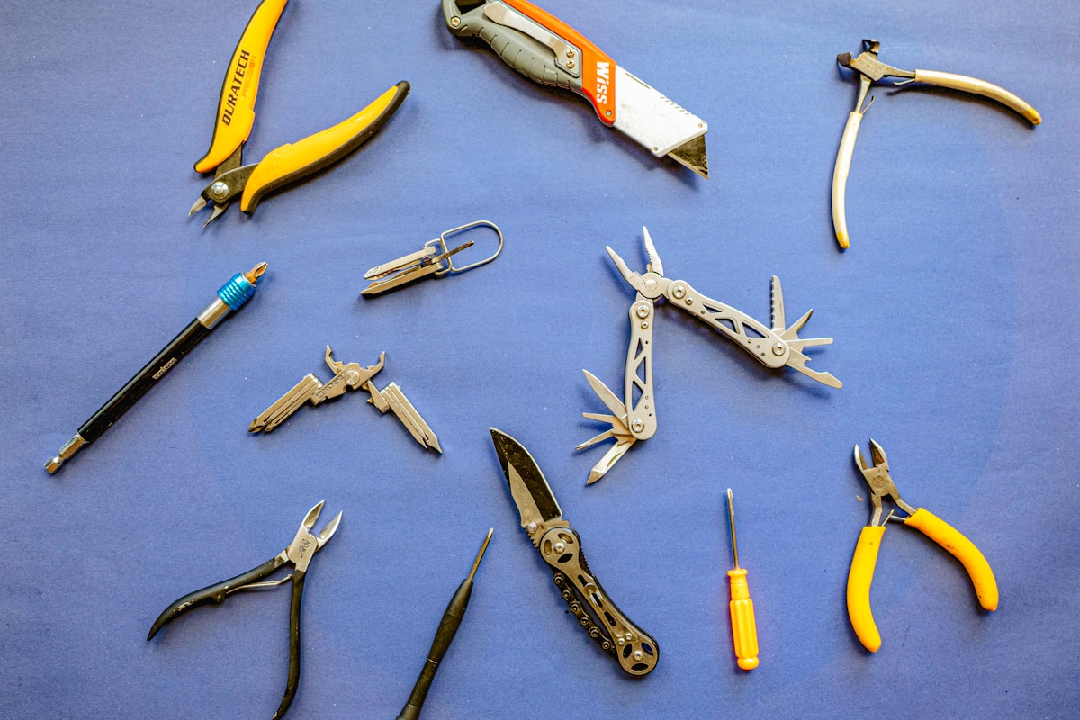 Choosing the Right Grooming Service