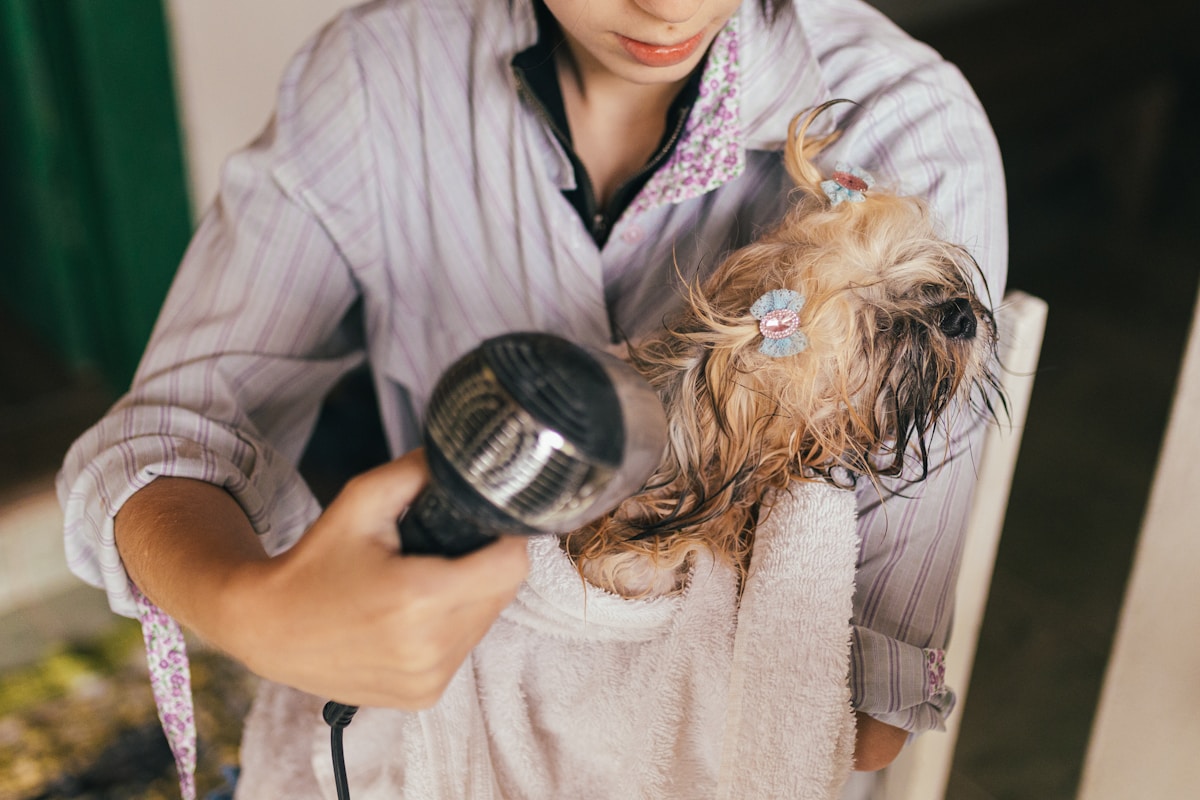 Grooming Tips for Pet Owners